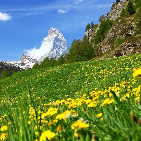 Apartment Kirchplatz By Interhome Zermatt